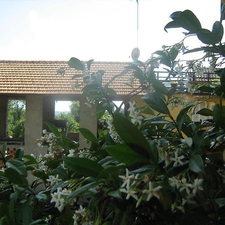 Fattoria Del Pino Bed & Breakfast Orta San Giulio Exterior photo