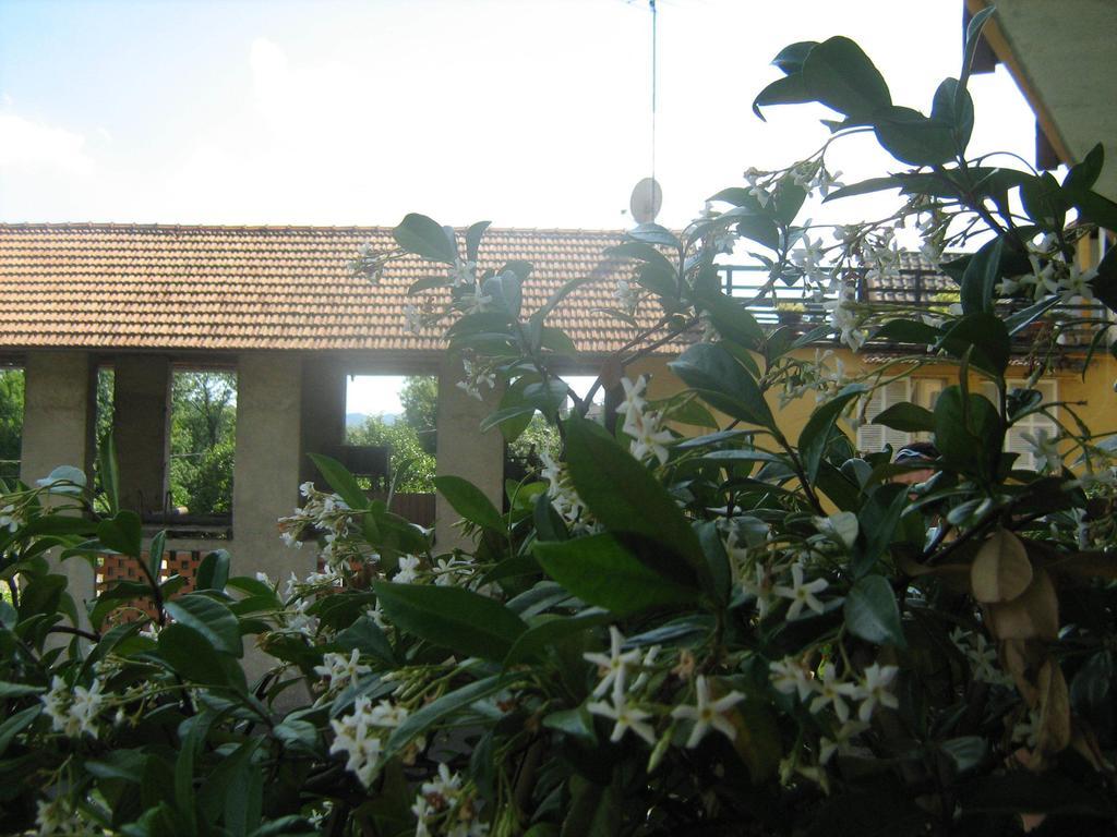 Fattoria Del Pino Bed & Breakfast Orta San Giulio Exterior photo