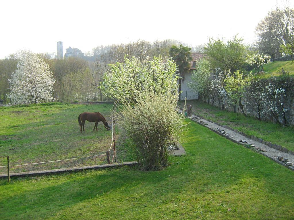 Fattoria Del Pino Bed & Breakfast Orta San Giulio Exterior photo